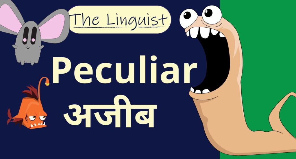 figure out बाद में बदलाव किया गया (1350 x 1080 px) (2000 x 1080 px)